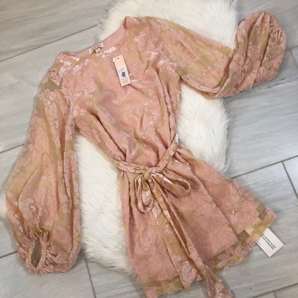 Yumi Kim Bellflower Dress in Blush - Picture 5 of 12